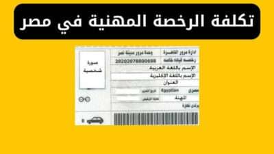 تكلفة الرخصة المهنية في مصر