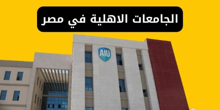 الجامعات الاهلية في مصر المعتمدة، التنسيق، المصاريف، المنح